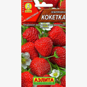 Земляника Кокетка/ Аэлита