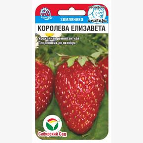 Земляника Королева Елизавета 10шт/ Сибсад