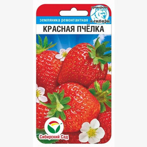 Земляника Красная пчелка 10шт/ Сибсад