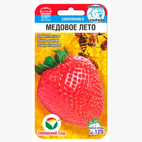 Земляника Медовое лето 5шт/ Сибсад