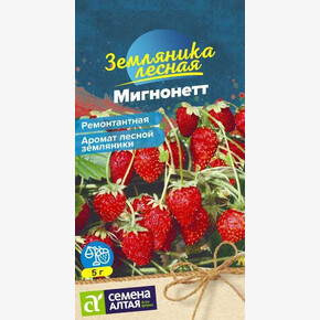 Земляника Мигнонетт ремонтантная/Сем Алт/цп 5 шт. НОВИНКА