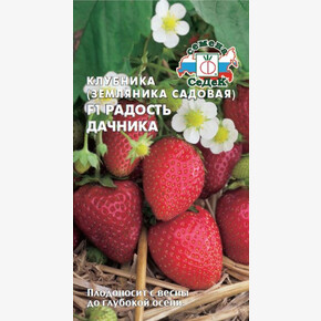 Земляника Радость Дачника/ Седек