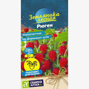 Земляника Рюген ремонтантная/Сем Алт/цп 0,03 гр. НОВИНКА