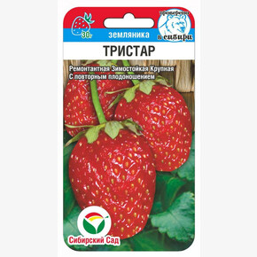 Земляника Тристар 10шт/ Сибсад