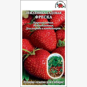 Земляника Фреска /Сотка/ 5шт/