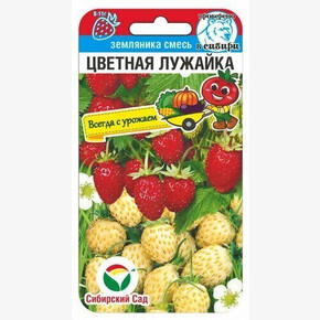 Земляника Цветная лужайка 10шт смесь Сиб Сад