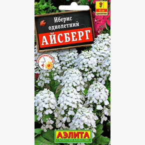 Иберис Айсберг /Аэлита/цп