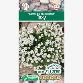 Иберис вечнозеленый Таху/ Евросемена