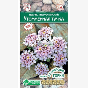 Иберис Утомленная Тучка (0,1 гр)/ Евросемена