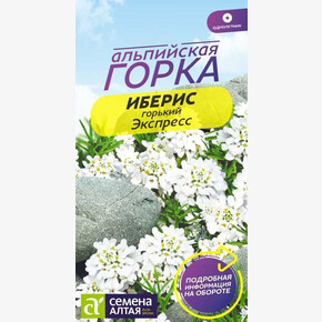 Иберис Экспресс горький/ Семена Алтая 0,1гр.