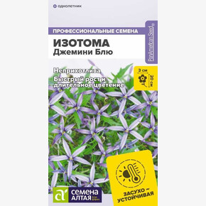 Изотома Джемини Блю/Семена Алтая/цп 3 шт.
