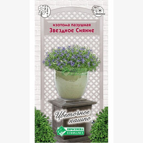 Изотома ЗВЕЗДНОЕ СИЯНИЕ 5 шт/ Евросемена