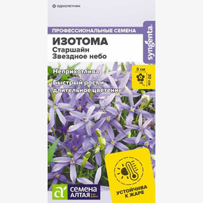 Изотома Старшайн Звездное небо/Семена Алтая/цп 3 шт. НОВИНКА 2028 / 358