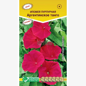 Ипомея Аргентинское Танго/ Евросемена