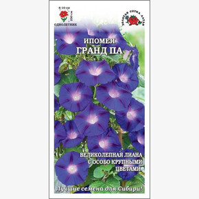 Ипомея Гранд Па /Сотка/ 1 г