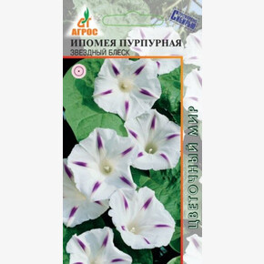 Ипомея Звездный блеск 1г*