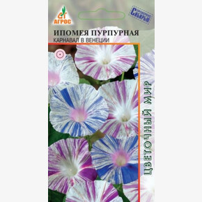 Ипомея Карнавал в Венеции 0.5г*