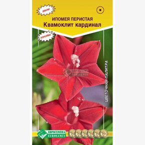 Ипомея квамоклит КАРДИНАЛ (10шт)/ Евросемена