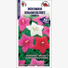 Ипомея Квамоклит смесь/ Сотка