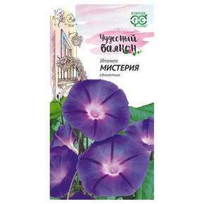 Ипомея Мистерия/ Гавриш