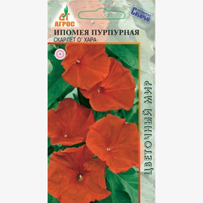 Ипомея Скарлет О`Хара 1г/ Агрос