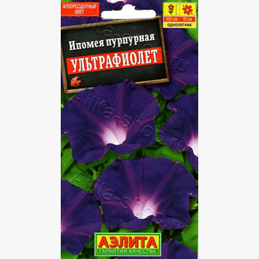 Ипомея Ультрафиолет 8шт/ Аэлита