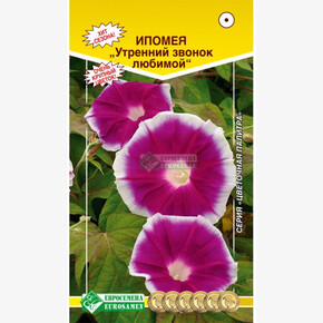 Ипомея Утренний звонок любимой/ Евросемена