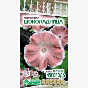 Ипомея ШОКОЛАДНИЦА 0,3 гр/ Евросемена