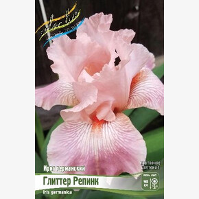 ИРИС ГЕРМАНСКИЙ ГЛИТТЕР РЕПИНК