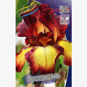 ИРИС ГЕРМАНСКИЙ ПРОВАНСАЛЬ