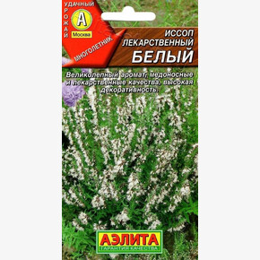 Иссоп Белый/ Аэлита