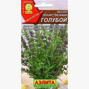 Иссоп Голубой/ Аэлита