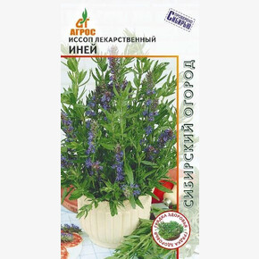 Иссоп Иней 0.1г* / Агрос