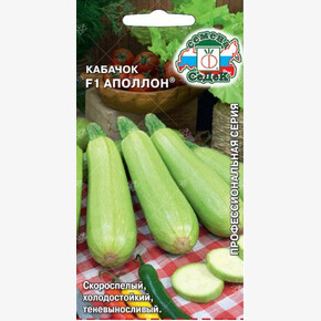 Кабачок Аполлон / Седек