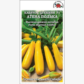 Кабачок Атена Полька /Сотка/ 1 г
