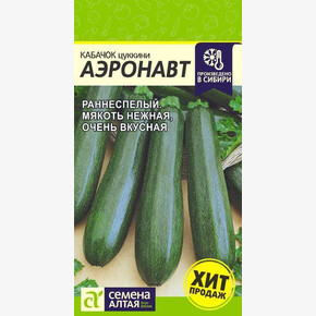 Кабачок Аэронавт-Цуккини/ Семена Алтая 2 гр. №2
