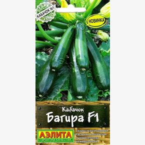 Кабачок Багира цуккини 5шт/ Аэлита