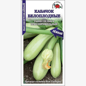 Кабачок Белоплодный/ Сотка