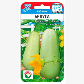 Кабачок Белуга 5шт Сиб Сад