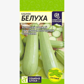 Кабачок Белуха/ Семена Алтая 2 гр. Сибирская Селекция!