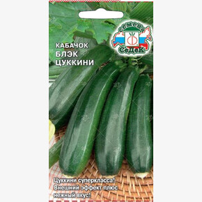 кабачок Блэк цуккини/ Седек