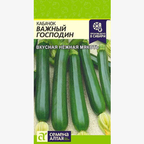Кабачок Важный Господин/ Семена Алтая