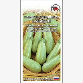 Кабачок Галакси/ Сотка
