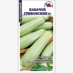 Кабачок Грибовские 37/ Сотка