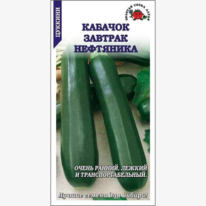 Кабачок Завтрак Нефтяника/Сотка
