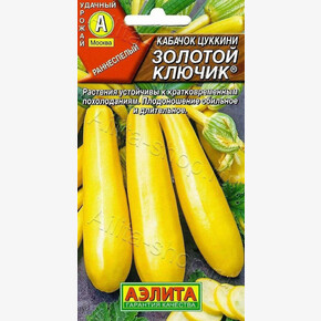 кабачок Золотой ключик АЭЛИТА