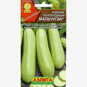 Кабачок Мальчуган/Аэлита