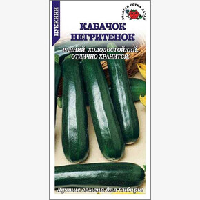 Кабачок Негритенок/ Сотка