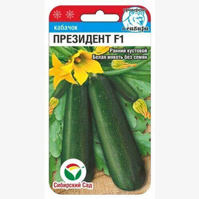 Кабачок Президент/ Сибсад