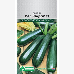 Кабачок САЛЬВАДОР 3 шт/ Евросемена